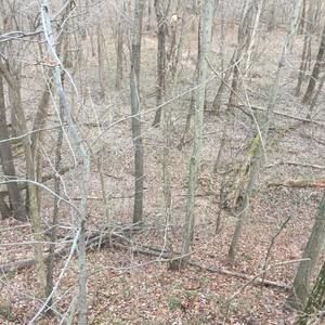 Meet your Posher, Lee